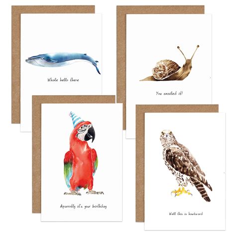 Punny Animal Cards Animal Cards Belated Birthday Greetings Cards