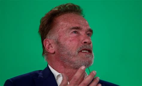 Arnold Schwarzenegger Attacked In South Africa At Fan Meet And Greet