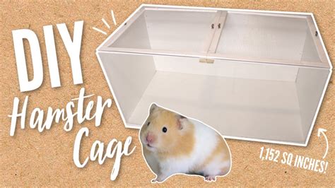 Building A New Diy Hamster Cage Youtube