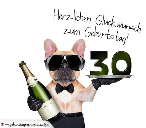 Geburtstagsgrüsse bilder karten bei facebook. Glückwunschkarte mit Hund zum 30. Geburtstag ...