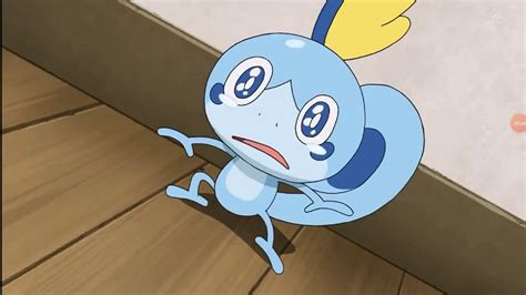 Following the end of satoshi's hoenn journey, he travels to the sinnoh region for his next adventure en route to becoming a pokémon master. Pokemon Journeys episode 8 preview - YouTube