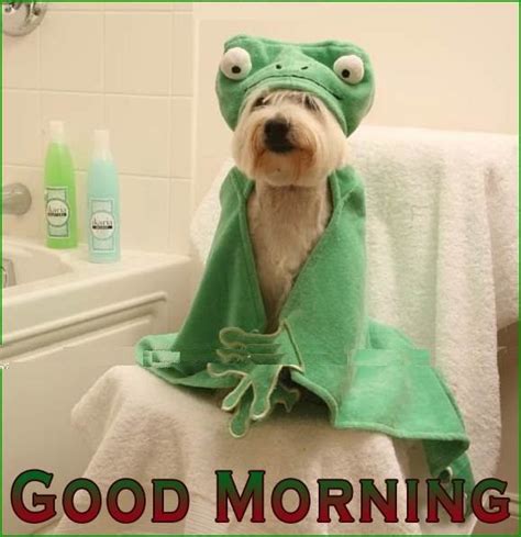 Funny Good Morning Pictures For Facebook Good Morning