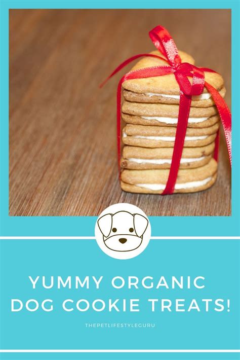 Delicious And Healthy All Natural Organic Dog Treats Easy To Make