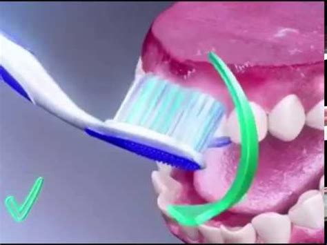Mulailah menyikat gigi geraham atas atau gigi. TUTORIAL CARA MENGGOSOK GIGI DENGAN BAIK DAN BENAR||Untuk ...
