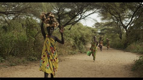 Toposa Tribe Women Carrying Wood Branches On Head Namorunyang State