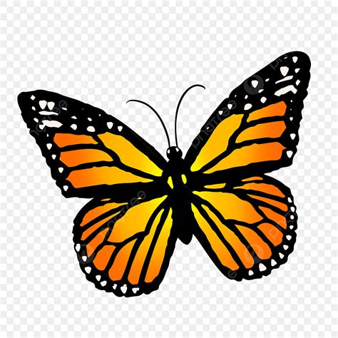 Blue Monarch Butterfly Clipart Transparent Png Hd Cartoon Butterfly