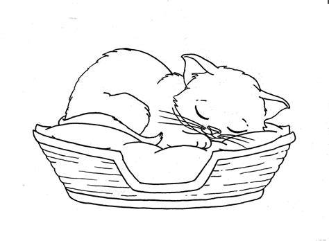 40 Cat Sleeping Cute Drawing Aleya Wallpaper