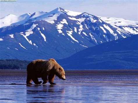 Alaska La Naturaleza Más Pura De Estados Unidos