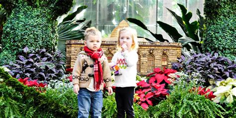 washington dc attractions christmas at the us botanic gardens