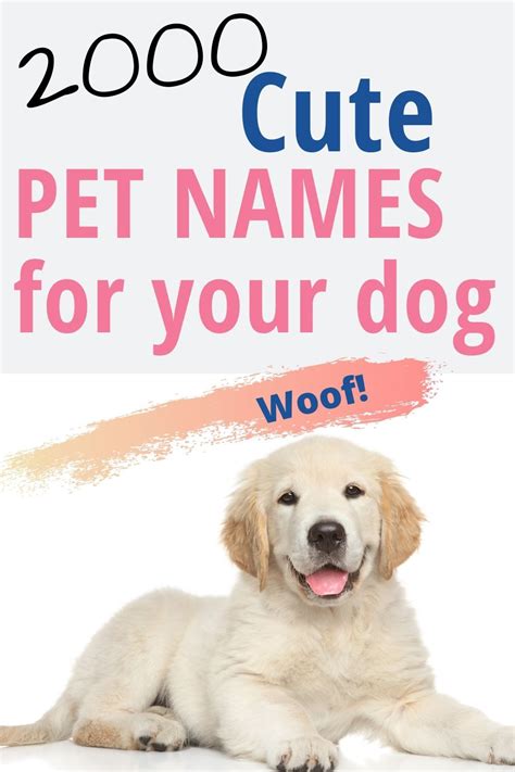 Pet Names Artofit