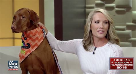 Fox Personality Dana Perino Shares What Helped Her After Her Dogs Passing