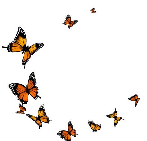 Download Flying Butterfly Png Transparent Image Transparent