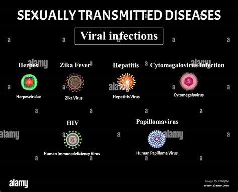 Hiv Herpes Papillomavirus Aids Hepatitis Cytomegalovirus Zika Virus Set Of Viral