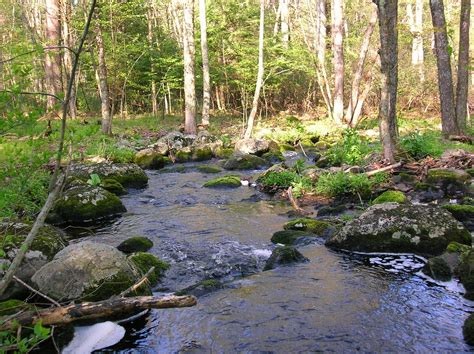 Small Stream Reflections: Two Streams, the First