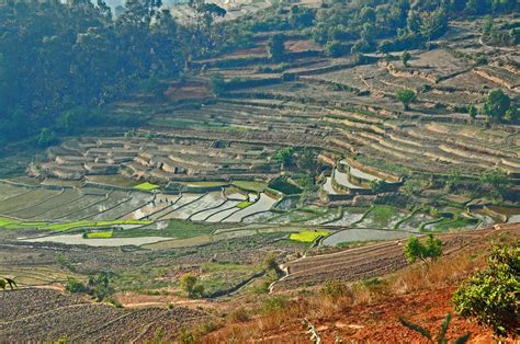 La zona alta del madagascar è quella dove vi sono molte attrazioni per i turisti, la più movimentata, mentre quella bassa, ha molta influenza francese ed. Risaie - Viaggi, vacanze e turismo: Turisti per Caso