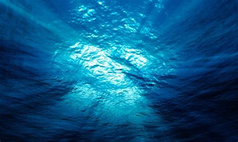 Light Underwater In The Ocean With Particular Stock Photo By ©kerenby