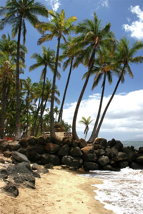 Landscape design build installation service. South Shore Maui Photograph by Daniel Baralt