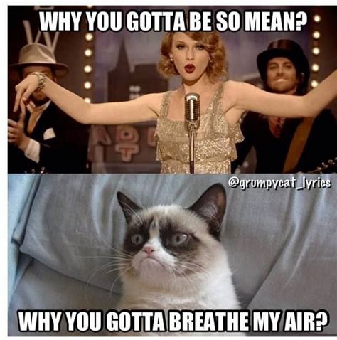 If you are familiar with grumpy cat then you will certainly enjoy these memes if you havent seen them already. Collect the Beautiful Grumpy Cat Memes Clean Funny ...