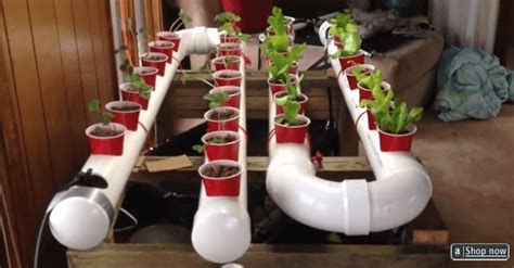 Pvc pipes are easily available, assemble them to make this edible hydroponic garden. How To Build A DIY PVC Hydroponic Garden | Farm Hydroponics
