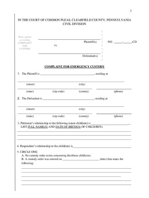 Child Custody Application Form Pa Fill Out And Sign Online Dochub