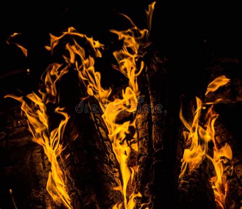 Bright Orange Languages Of A Fire On Wooden Logs At Night Wood On Fire