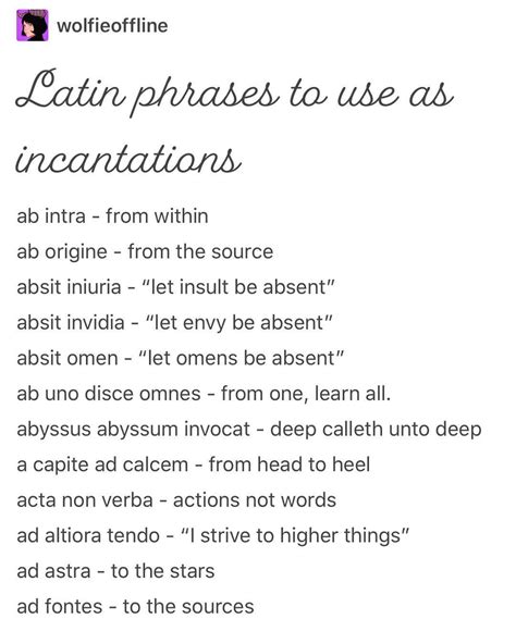 Best Funny Latin Quotes Shortquotes Cc