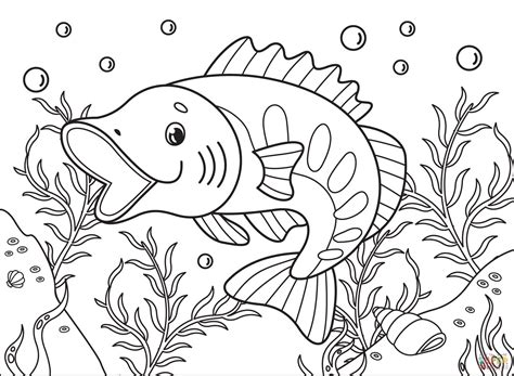 Largemouth Bass Coloring Coloring Pages