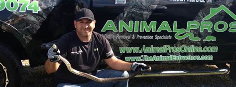 Pest control + mosquito + flea. Sarasota Snake Removal | Snakes In The Home | Snakes In ...
