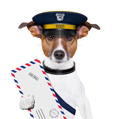 Mailman Funny Stock Photos Pictures And Royalty Free Images Istock