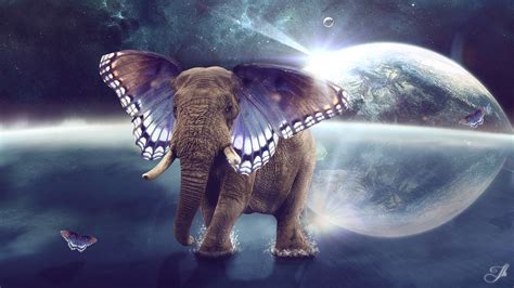 Guidance From Elephant Spirit Within Me