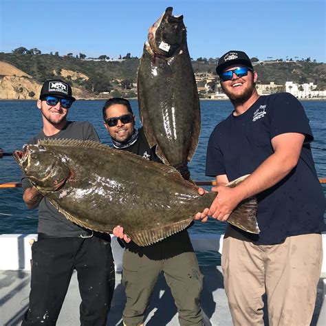 Pest control in san diego has needed rethinking and innovation. Forty-three-pound halibut wins angler $2950 | San Diego Reader