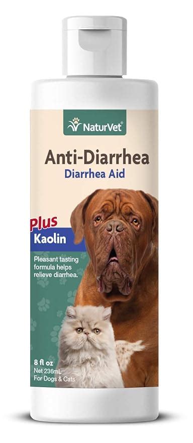 Anti Diarrhea Medicine For Dogs At Petsmart Medicinewalls