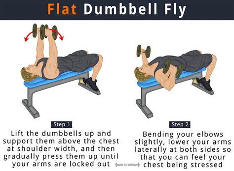 Flat Dumbbell Fly What Is It How To Do Muscles Worked Forms Born