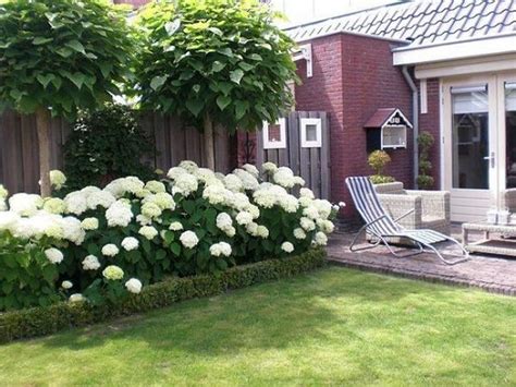 33 Beautiful Hydrangea Design Ideas Landscaping Your Front Yard Magzhouse