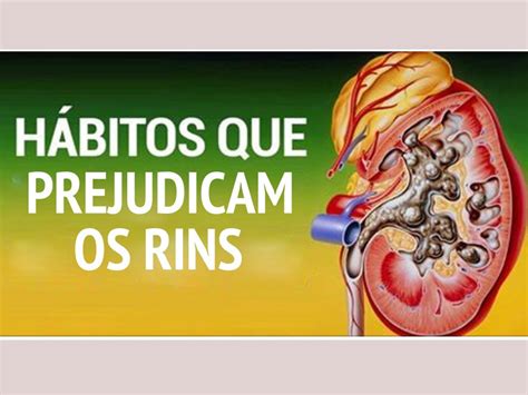 Quando O Rim Para De Funcionar