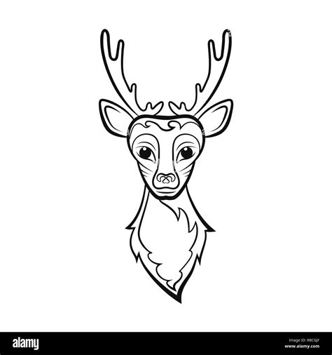 Head Of A Deer Drawing On A White Background Vector Illustration