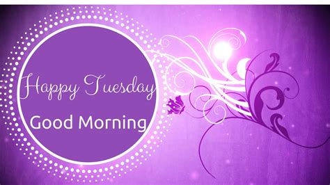 Happy Tuesday | Awesome Good Morning Quotes - YouTube