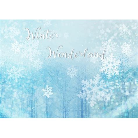 Frozen Winter Wonderland Backdrop For Photo Studio Snowflake Etsy