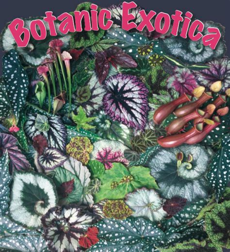 We'll have classes throughout the weekend. Colorado Cactus & Succulent Society : Home