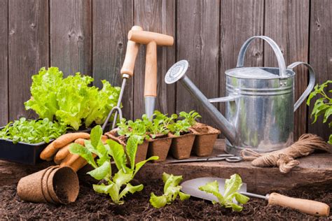 14 Essential Gardening Tools For Beginners Gardening Tips And Tricks