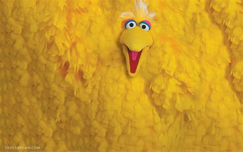 Sesame Street Characters As Rugs We Cant Look Away