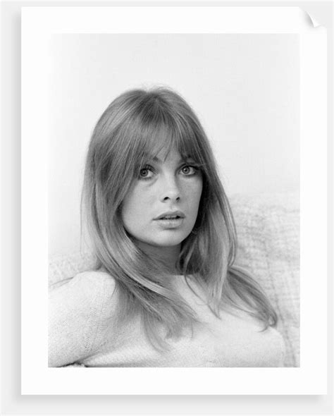Jean Shrimpton 1967 Posters And Prints By Bela Zola