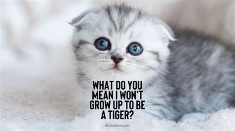 What Do You Mean I Wont Grow Up To Be A Tiger Quotesbook