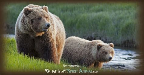 Bear Symbolism And Meaning Spirit Totem And Power Animal