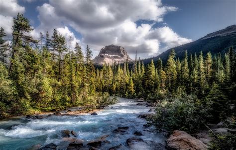 Wallpaper Forest Canada River Sky Trees Nature Water Mountains