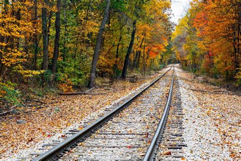 Autumn Railroad Tracks Stock Image Colourbox