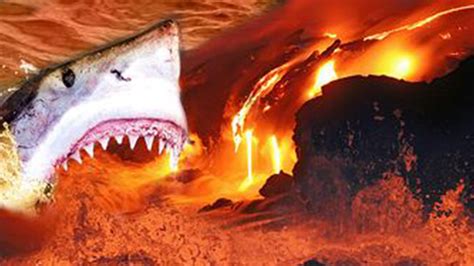 Amazing Shark Discovered Swimming In Active Volcano Caught On Camera Youtube
