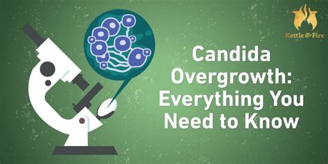 Candida Overgrowth Everything You Need To Know