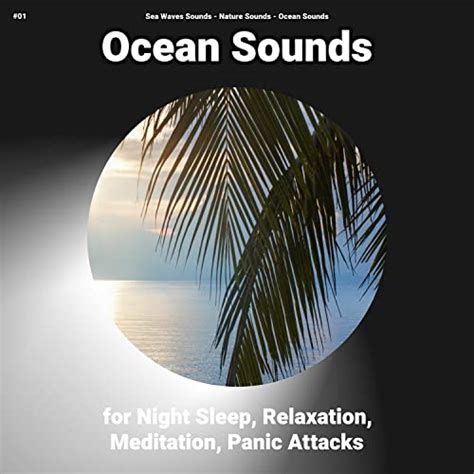 Spiele 01 Ocean Sounds For Night Sleep Relaxation Meditation Panic Attacks Von Sea Waves