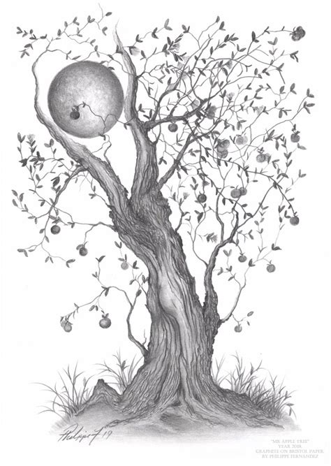 ▻ please like ✯ comment. "Mr Apple Tree" Original Graphite Pencil Drawing By ...
